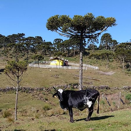 Casa E Cabana De Campo Fazenda Borba Urubici Exteriör bild