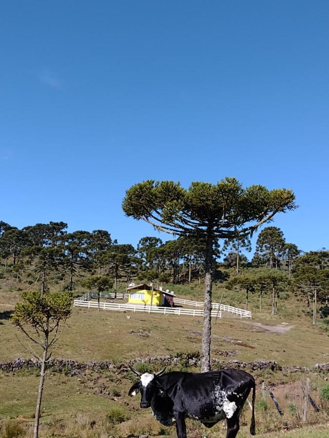 Casa E Cabana De Campo Fazenda Borba Urubici Exteriör bild