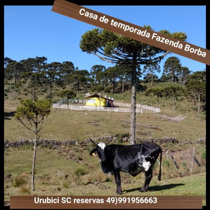 Casa E Cabana De Campo Fazenda Borba Urubici Exteriör bild