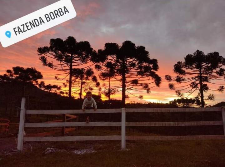 Casa E Cabana De Campo Fazenda Borba Urubici Exteriör bild