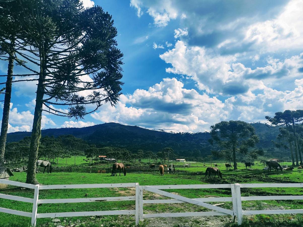Casa E Cabana De Campo Fazenda Borba Urubici Exteriör bild