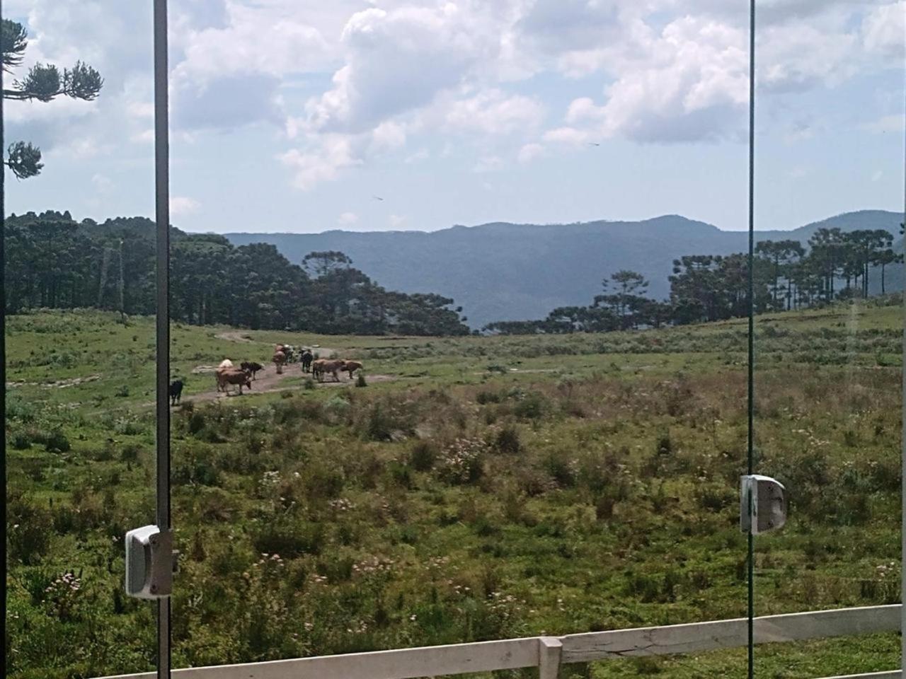 Casa E Cabana De Campo Fazenda Borba Urubici Exteriör bild