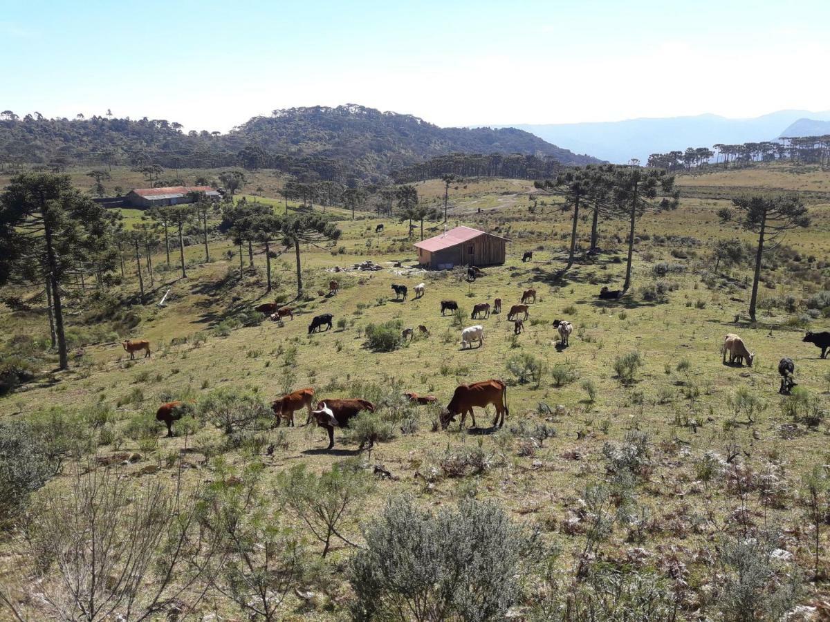Casa E Cabana De Campo Fazenda Borba Urubici Exteriör bild
